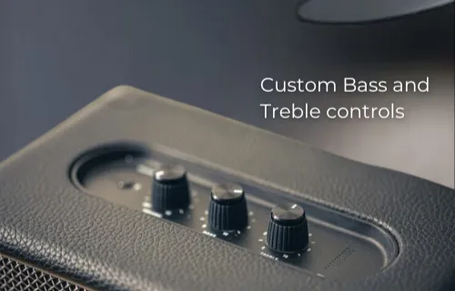 INNOV COMPACT II Portable speaker