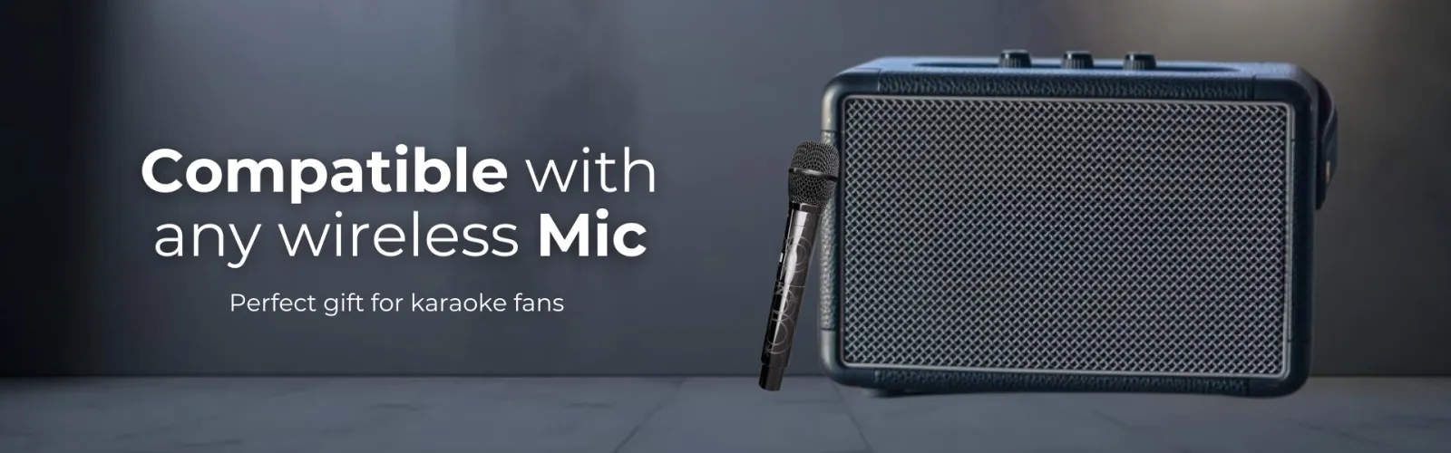 INNOV COMPACT II Portable speaker